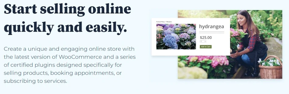 Bluehost eCommerce Hosting Plans