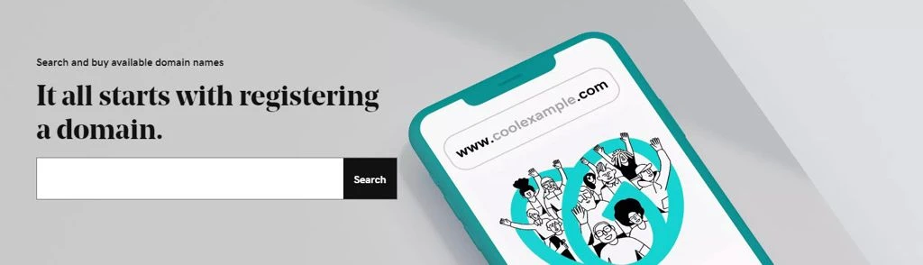 Find Domain Name