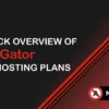 Hostgator Web Hosting